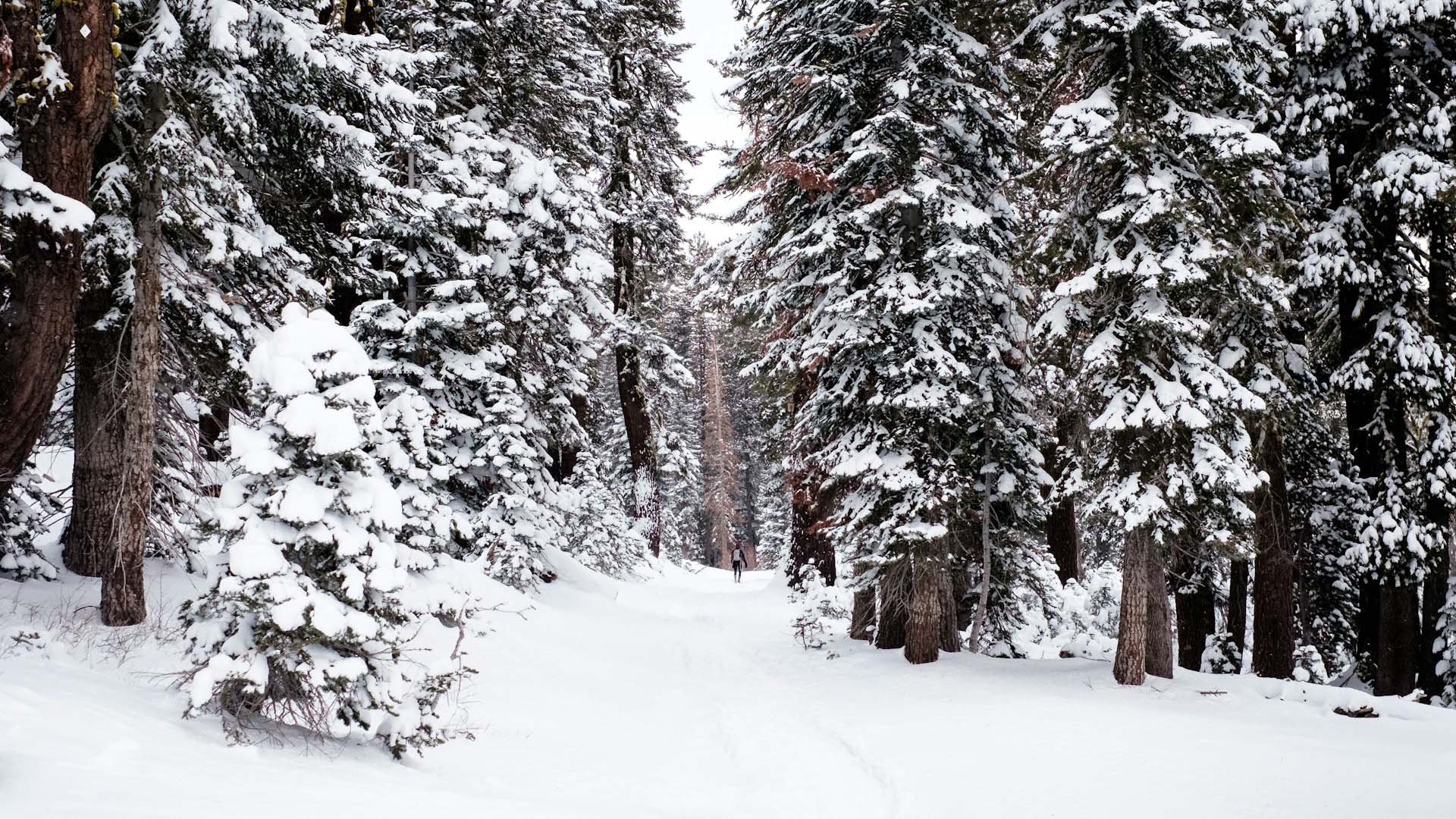 Rain Begins in Islamabad Snowfall Continues in Northern Areas