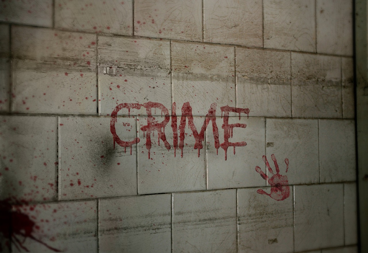 crime, crime scene, murder, criminal, grim, attack, security, brutal, police