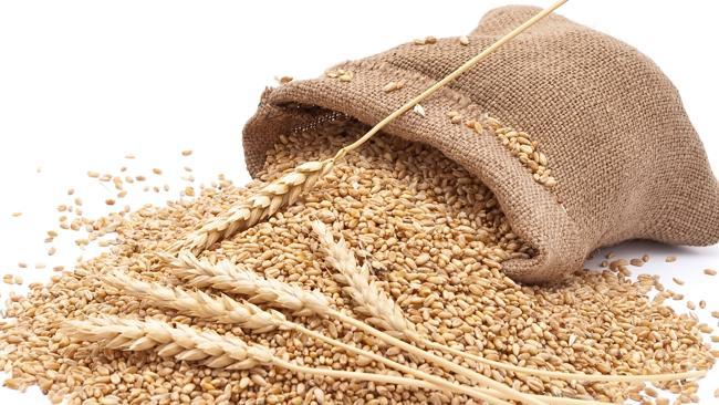 ECC clears 500,000 metric tons of wheat for sale, will this decision calm markets or spark a new price storm?
