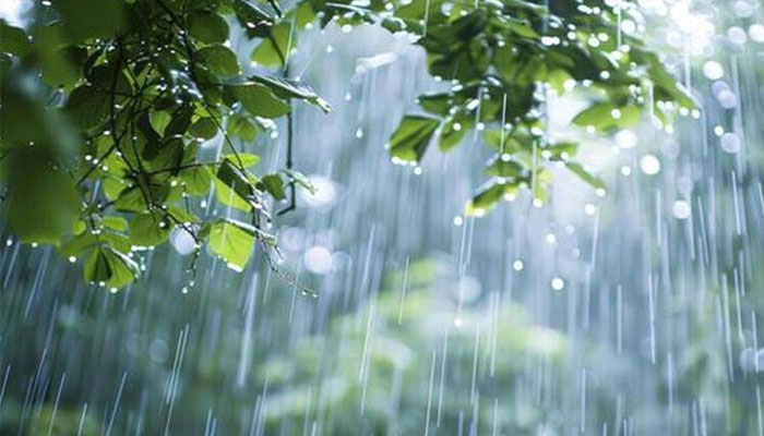 Rain, strong winds & thunderstorms forecast