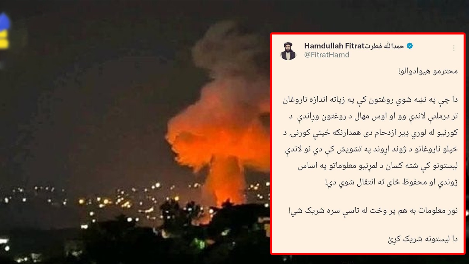 492 rehab patients confirmed safe by Taliban