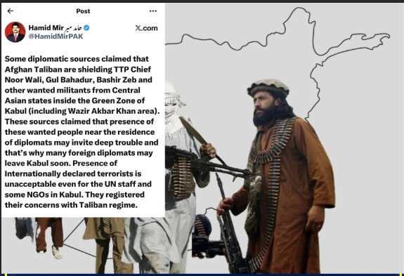 TTP Chief & Militants Sheltered in Kabul Green Zone: Diplomatic Claims
