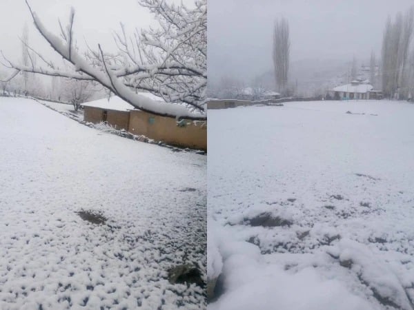 Rain and Snow Bring Winter Back to Khyber Pakhtunkhwa