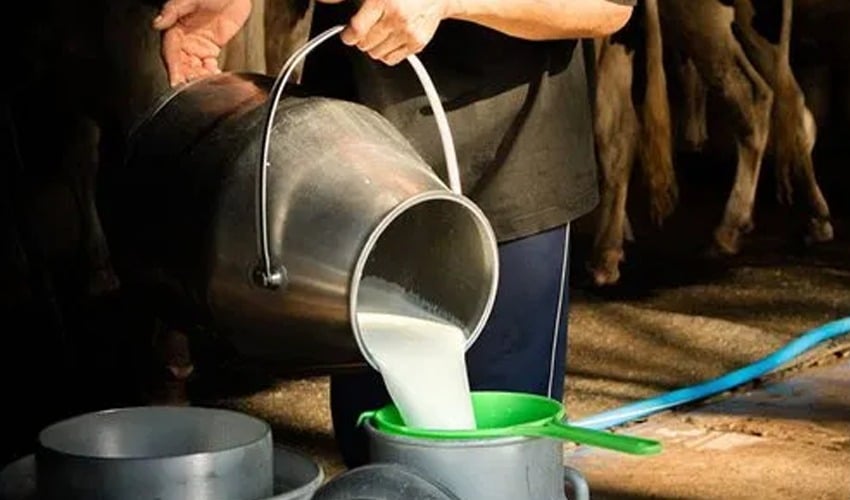 Poisonous milk causes three deaths in Uch Sharif  