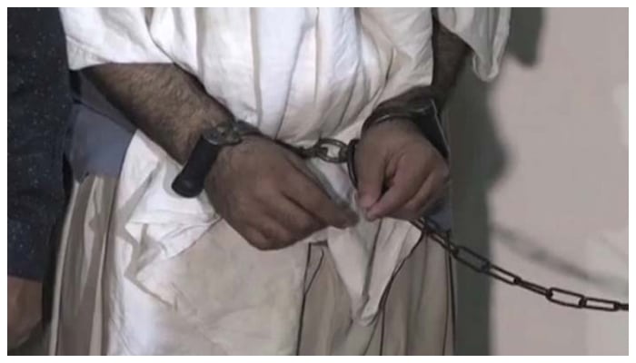 Suspect Arrested for Alleged Assault of Bus Hostess