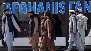 Afghanistan Becomes ‘Safe Haven’ for Global Terrorist Groups: International Media