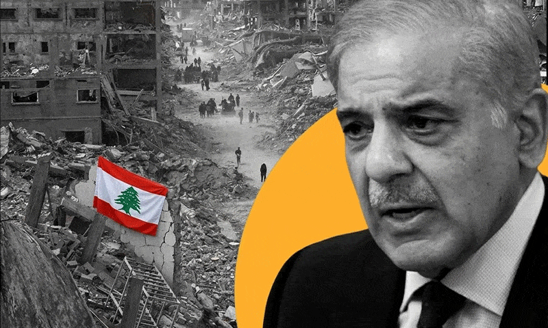 PM Shehbaz Welcomes Lebanon Ceasefire, Reaffirms Support for Peace