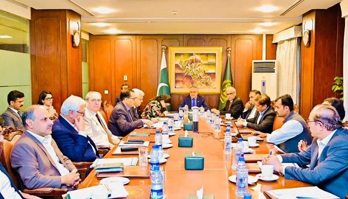 Pakistan confirms commitment to protect energy installations and ensure uninterrupted fuel supply