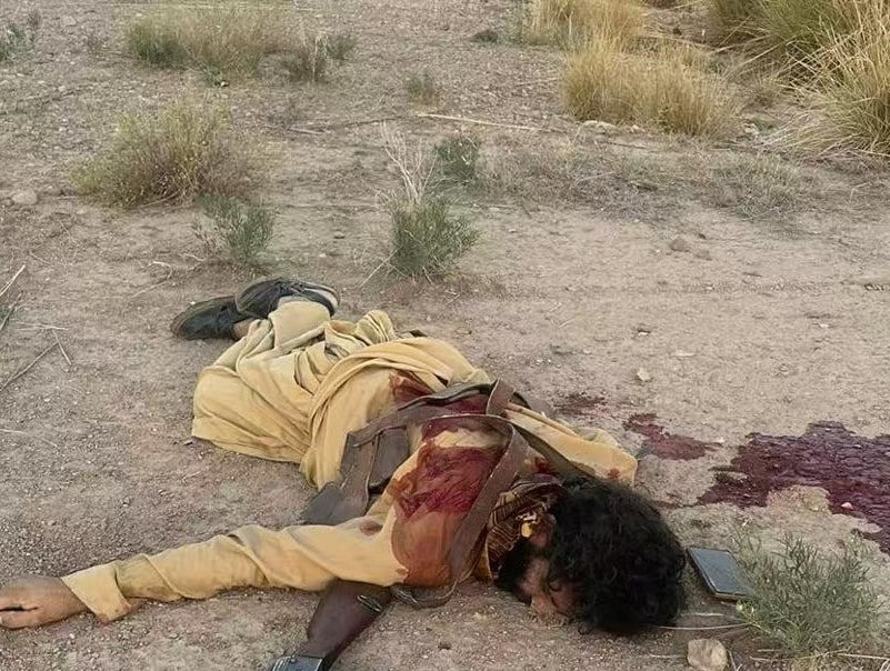 Security forces neutralize militants, detain four terrorists