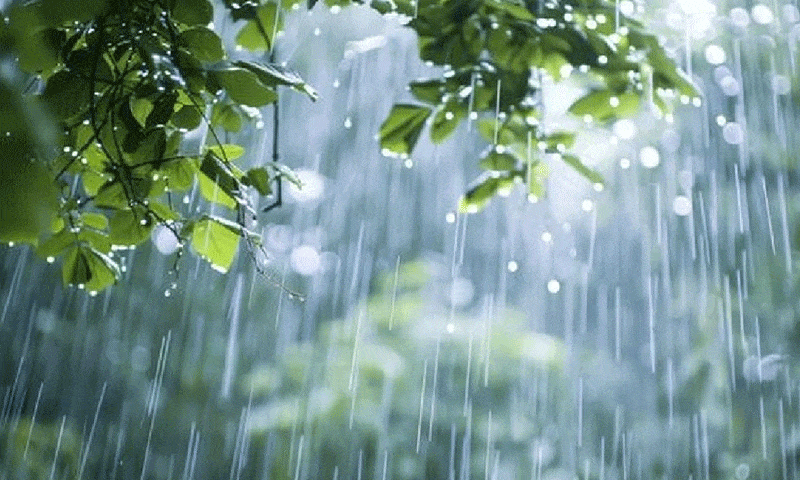 Hot, Dry Weather to Grip Most of Pakistan, Rain Forecast in North