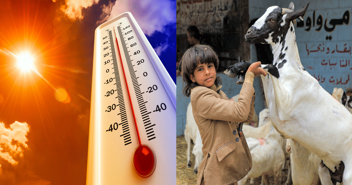 What will the weather be like on Eid-ul-Adha? The Meteorological Department has told