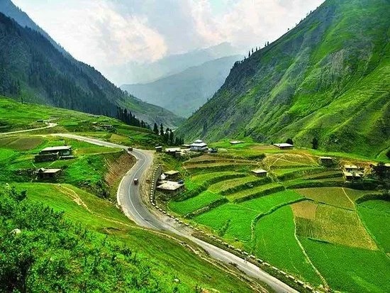 Tourist Van Accident in Balakot Causes Three Deaths