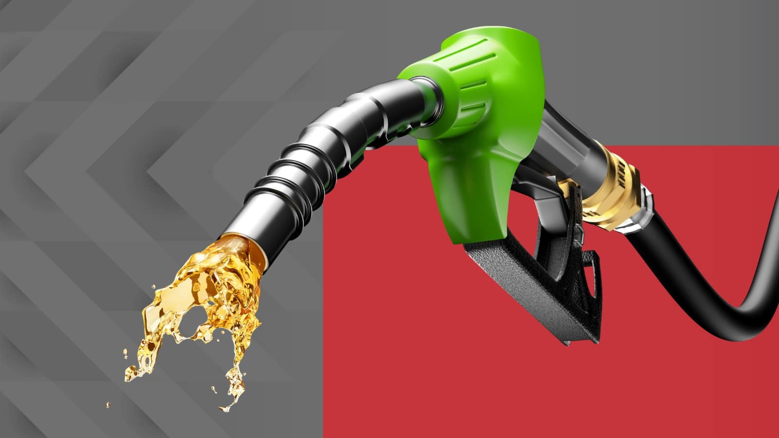 Govt Cuts Petrol Price by Rs 4