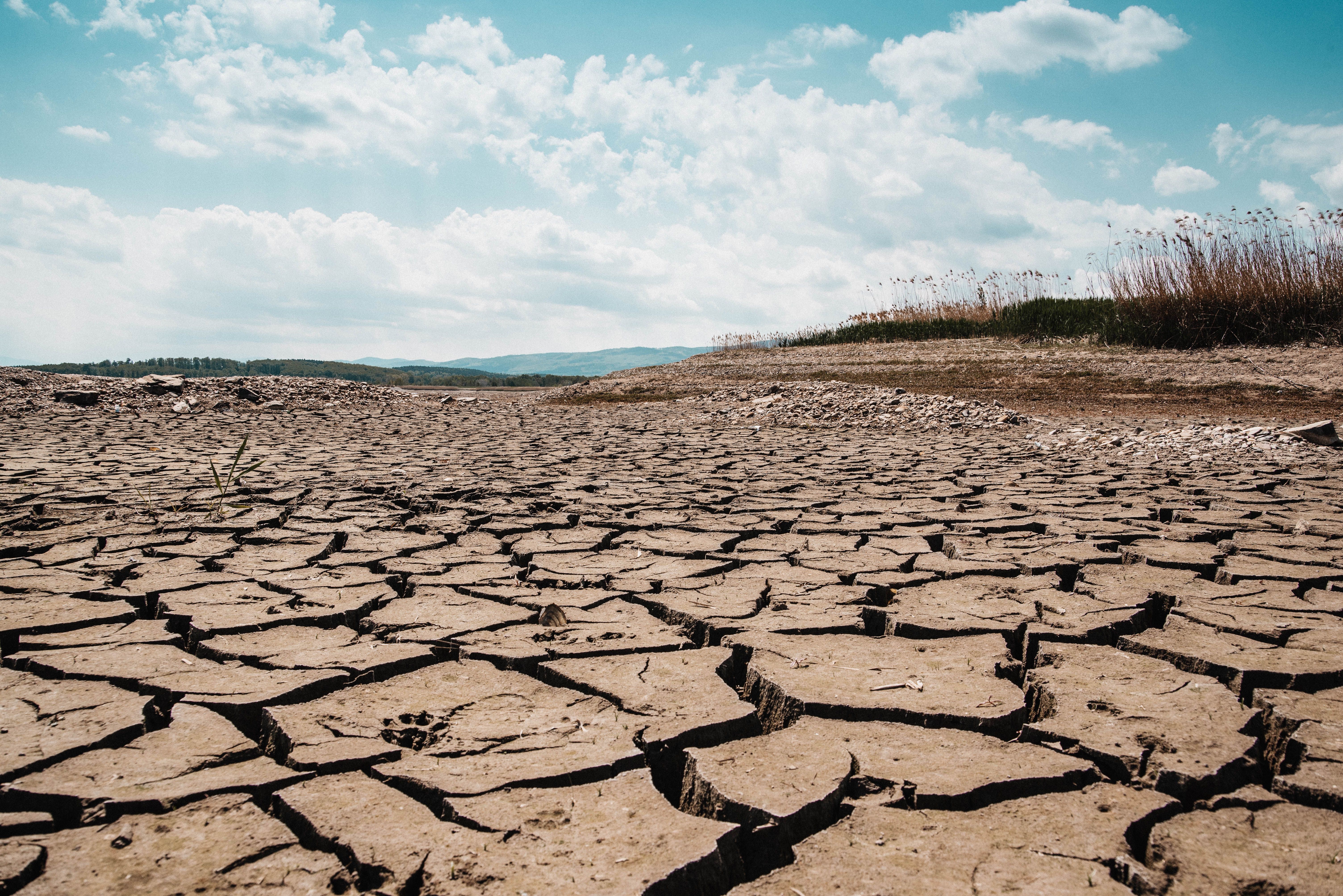 A stark landscape of cracked dry earth beneath a clear blue sky, depicting arid climate and drought.