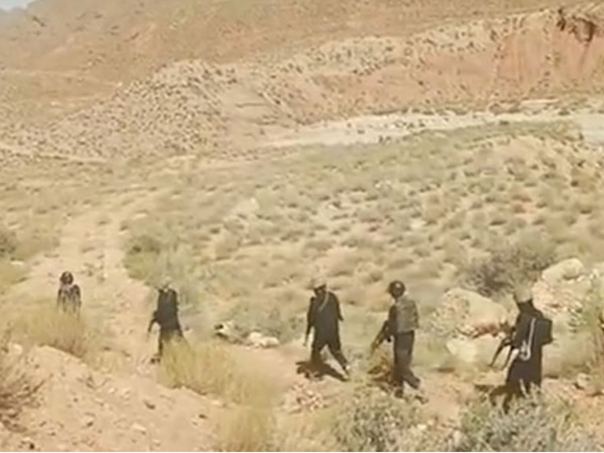 Operation Shaban: 123 Terrorists Neutralized