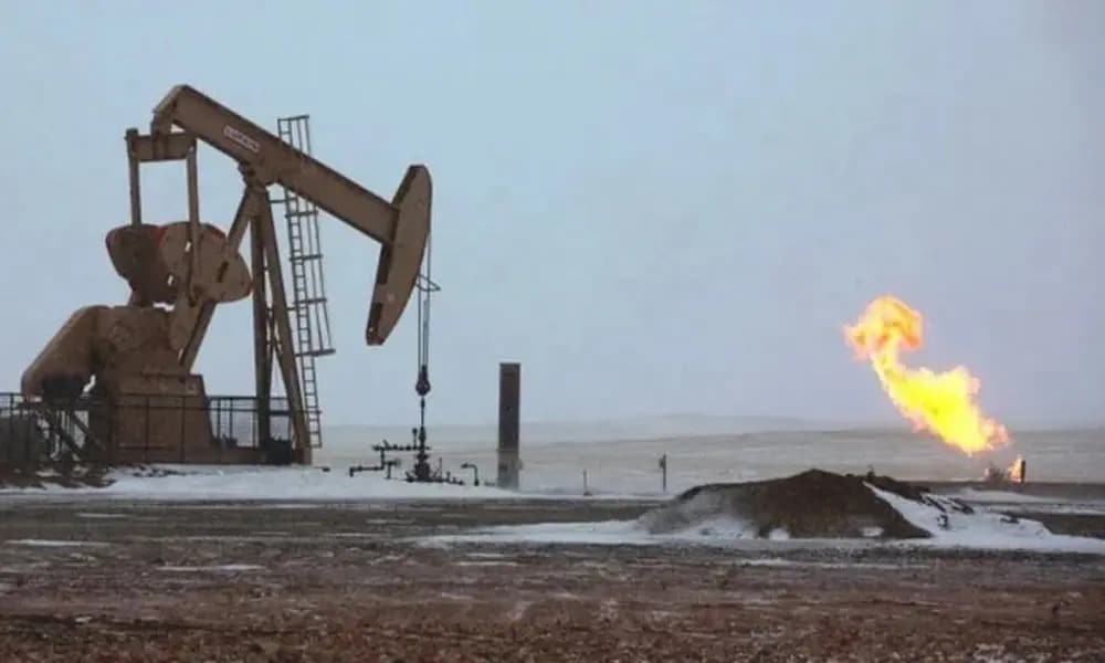 New Oil and Gas Discovery in Sujawal