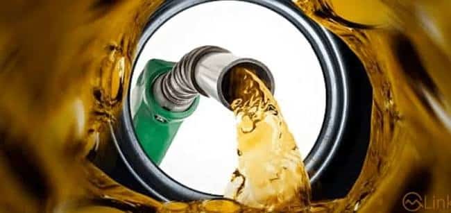 Government Increases Petroleum Prices