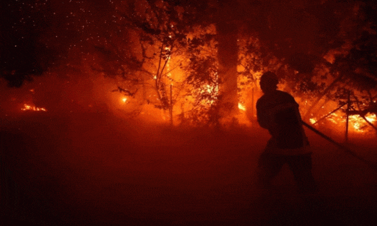 France and Spain Wildfires Force Over 220,000 Evacuations
