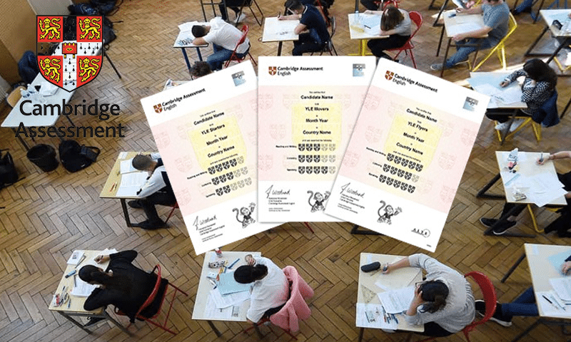 Cambridge A-Level Results 2026 Announced
