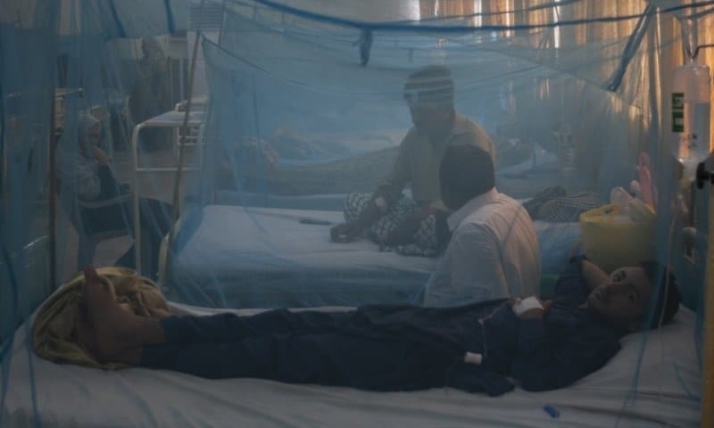 Dengue Cases in KP Surge to 478