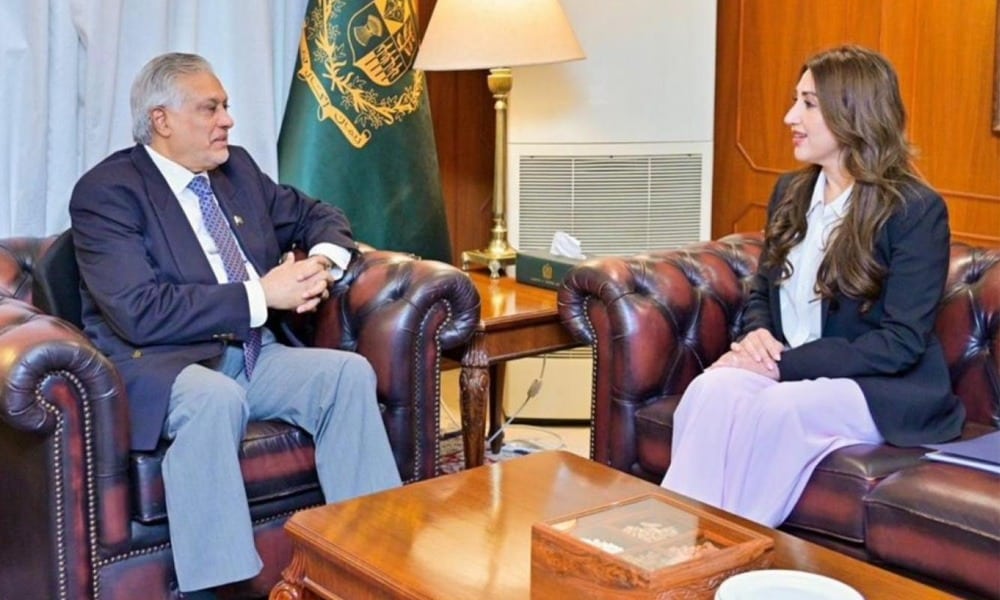 Pakistan, US Discuss Regional Peace, Bilateral Cooperation