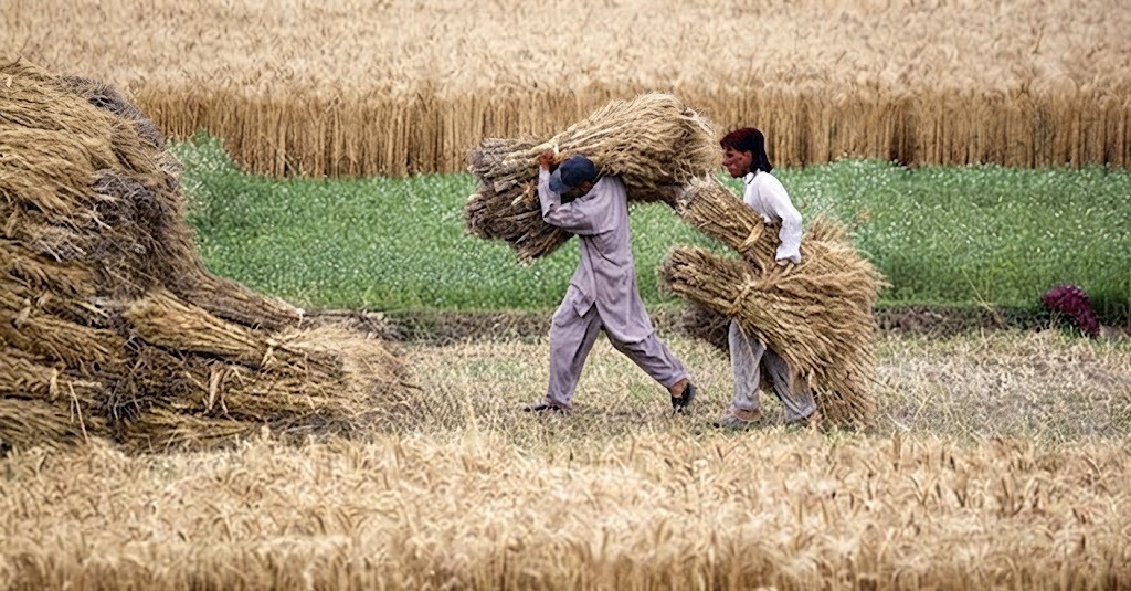 Balochistan Government Secures Postponement of Kisan Ittehad Long March