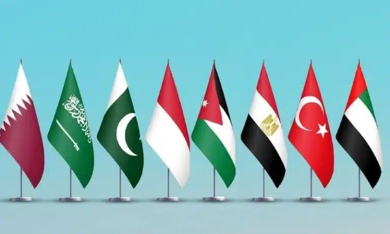 Eight Muslim States Reject Israeli Plans to Displace Palestinians From Gaza