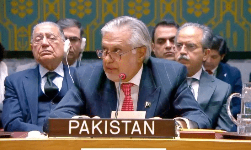 Pakistan Concerned Over Terrorist Groups in Afghanistan: Ishaq Dar